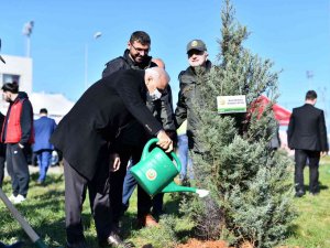 Trabzon’da Fidanlar Toprakla Buluştu
