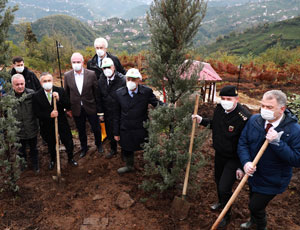 Rize'de "Milli Ağaçlandırma Günü"nde Fidanlar Toprakla Buluşturuldu