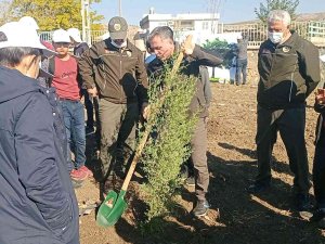 Dicle İlçesinde Milli Ağaçlandırma Günü Etkinliği