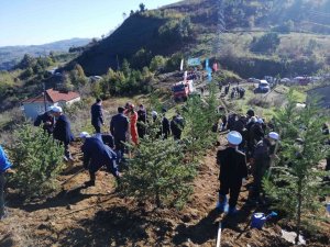Kdz. Ereğli’de Fidanlar Toprakla Buluştu
