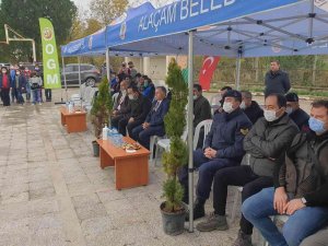 Alaçam’da “Milli Ağaçlandırma Günü”
