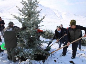 Kar Altında Binlerce Fidanı Toprakla Buluşturdular