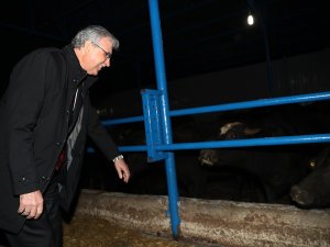 Sakarya’da Sayısı Her Geçen Gün Azalıyordu, Harekete Geçildi