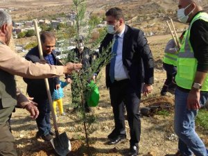 Milli Ağaçlandırma Gününde Gercüş’te Fidanlar Toprakla Buluşturuldu