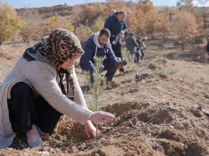 6 Bin Adet Fidan Toprakla Buluştu