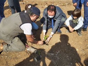 Datça’da Bin Adet Fidan Toprakla Buluştu