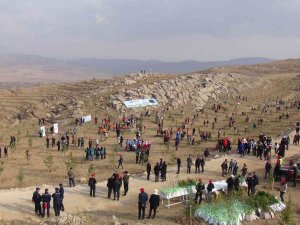 Van’da 40 Bin Ağaç Toprakla Buluşturuldu