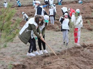 Çorum’da 1 Milyon 590 Bin Fidan Toprakla Buluştu