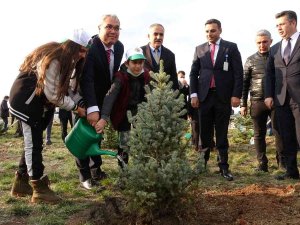Muş’ta 15 Bin Fidan Toprakla Buluşturuldu