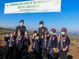 Bursa İ̇l Jandarma Komutanlığı 6 Bin Fidanı Toprakla Buluşturdu