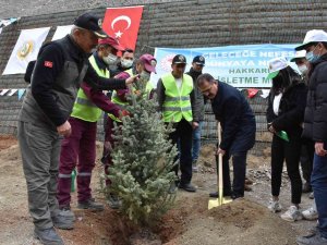 Vali Akbıyık: “Hakkari’de 87 Bin Fidan Dikeceğiz”