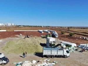 Siverek’te İkinci Ürün Mısırdan 500 Bin Ton Silaj Yemi Elde Edildi