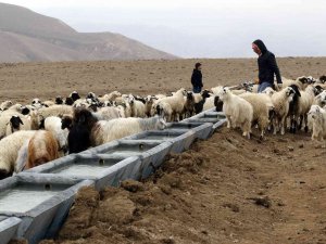 Van Büyükşehir Belediyesinden Başkaleli Çiftçilere Can Suyu