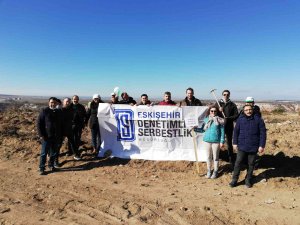 Denetimli Serbestlik Personelleri Bin Tane Fidan Dikti