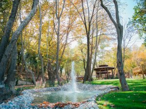 Bakımsız Vadi Doğal Yaşam Parkına Dönüştürüldü