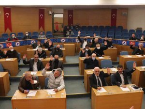 Meclisten Projeler İçin Borçlanma Yetkisi