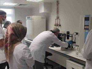 Omü’de Kök Hücre Temel Uygulama Eğitimi