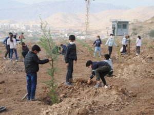 Cizre’de Öğrenciler Emniyet Bahçesine Fidan Dikti
