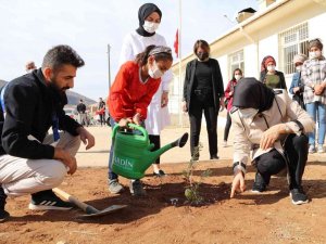 Mardin’de Geleceğin Teminatı Öğrencilerle Fidan Dikimi Gerçekleştirildi