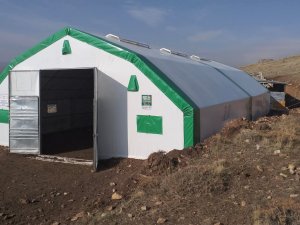 Bayburt’ta Küçükbaş Hayvan Yetiştiriciliği Gelişmeye Devam Ediyor