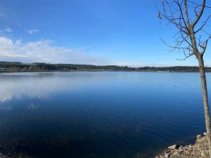 Yosunlardan Temizlenen Pelitözü Göleti Eski Haline Döndü