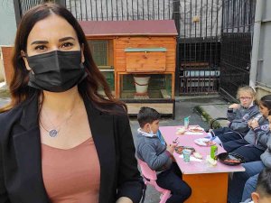 Çocuklar Yumurtanın Markette Yetiştiğini Sanıyordu