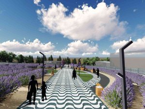 İ̇zmit’e Lavanta Parkı Yapılacak