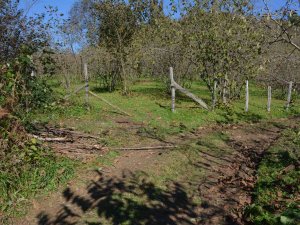 Otlatma Tartışması Kanlı Bitti: 1 Ölü