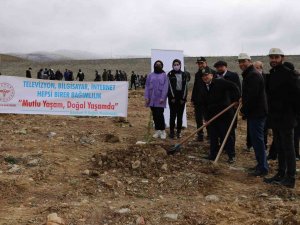 Bayburt’ta “Tableti, Telefonu Bırak Doğaya Can Kat” Temasıyla Fidan Dikildi