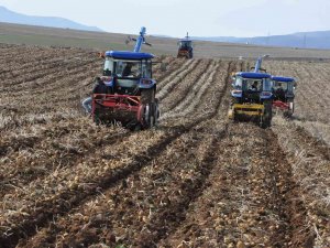 Gümüşhane’de Patates Hasadı Tarla Günü Düzenlendi