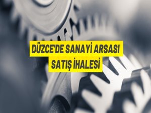 Düzce'de sanayi arsaları satılacak