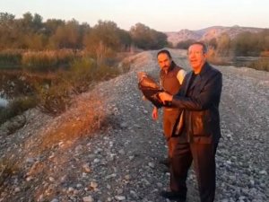 Tedavisi Tamamlanan Kartal Doğaya Salındı