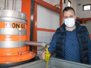 Maraş Zeytinyağında Hedef Avrupa