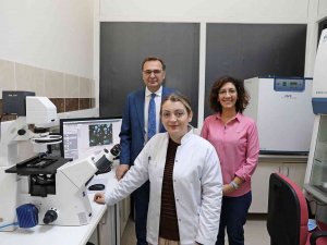 Doktor Saygılı Abd’de Araştırma Yapacak