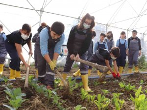 Okuldaki Serada Hem Öğreniyor Hem Eğleniyorlar