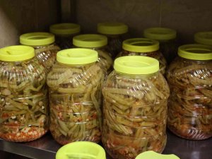 Turşunun Kursunu Kurdular