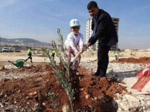 Şehitkamil’de Binlerce Fidan Toprakla Buluştu