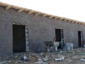 Muş’ta Sokak Hayvanları İçin Beslenme Alanları Ve Barınaklar İnşa Edildi