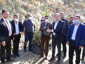 Batman Zeytin Diyarı Olma Yolunda