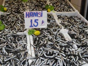 Ordu’da Hamsinin Kilosu 15 Lira