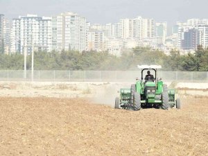 Tarsus Belediyesi, Yerli Buğday Ekimine Başladı