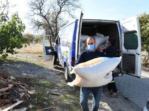Tarsus Belediyesinden Köylülere Yem Desteği