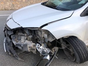 Otomobilin Çarptığı Yavru Ayı Telef Oldu