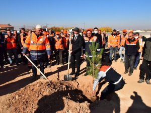 Malatya’da Karayollarına Ve Kavşaklara Fidan Dikildi