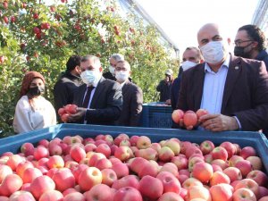 Türkiye’nin En Büyük Elma Bahçesinde Son Hasat Yapıldı