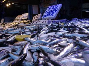 Hamsi Vatandaşın da Balıkçının Da Yüzünü Güldürüyor