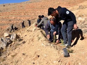 Selçuklu’da Doğaya 17 Bin Yeni Fidan Kazandırıldı