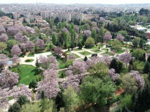 Gaziantep’te Sezai Karakoç Anısına Edebiyat Parkı Yapılacak