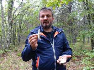 Uzmanından Uyarı: Yanlış Bilgiler Mantar Zehirlenmesine Sebep Oluyor