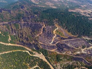 İ̇vrindi’de 57 Fidan Toprakla Buluştu